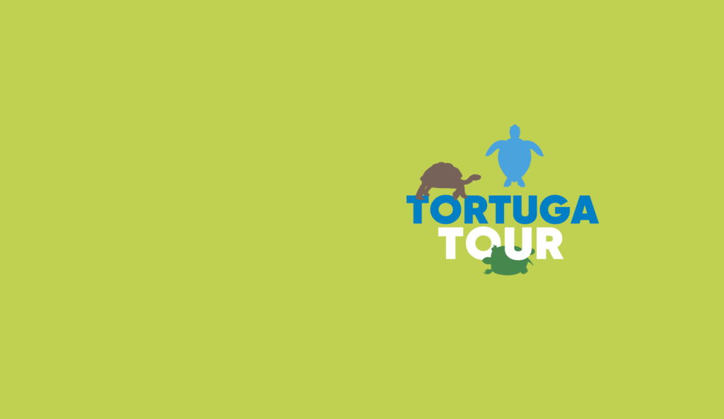 Tortuga Tour